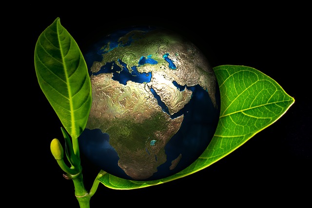 What constitutes the international marketing environment?