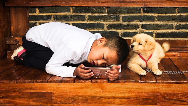 Is een hond echt een geschikt cadeau?