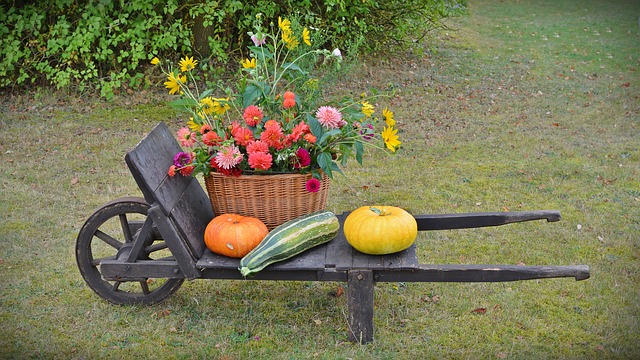 Winterizing the Garden