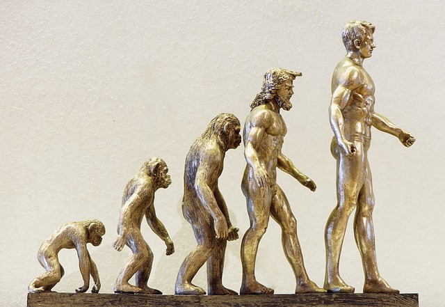 How long have humans lived on earth?