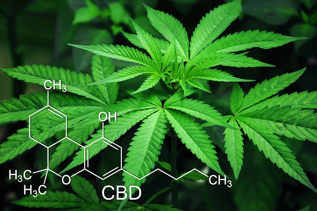How does society view drugs, and how do opinions differ?